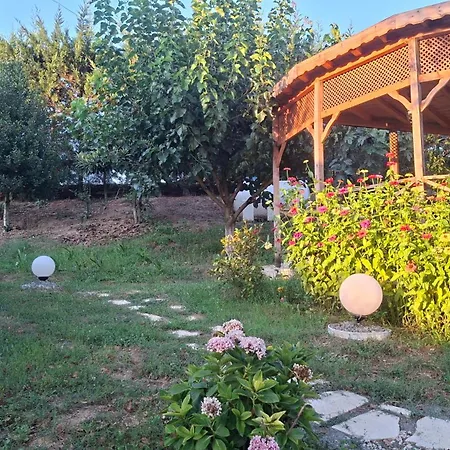 Villa Meseli House *